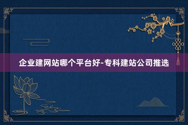 企业建网站哪个平台好-专科建站公司推选