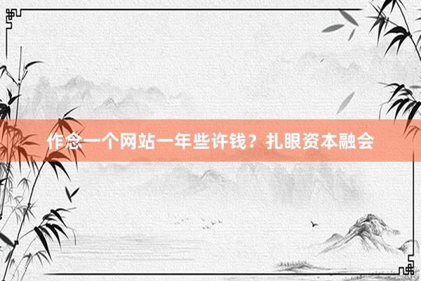 作念一个网站一年些许钱？扎眼资本融会