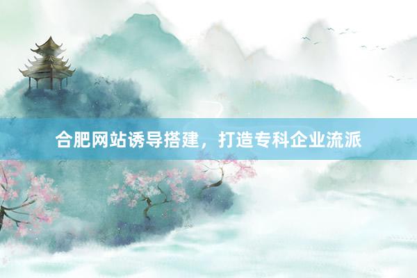 合肥网站诱导搭建，打造专科企业流派