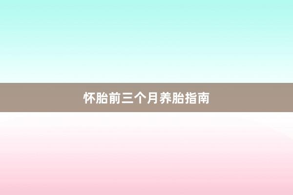 怀胎前三个月养胎指南