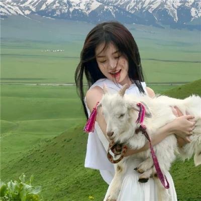 风云之拳破苍穹